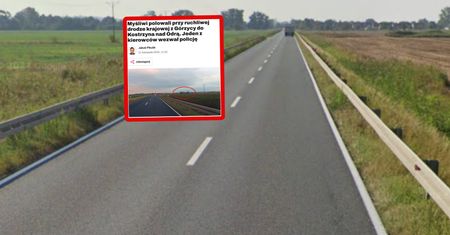 Z bronią tuż przy drodze. Natychmiast się zatrzymał i wezwał policję