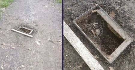 Widzisz takie coś na ulicy? Dzwoń