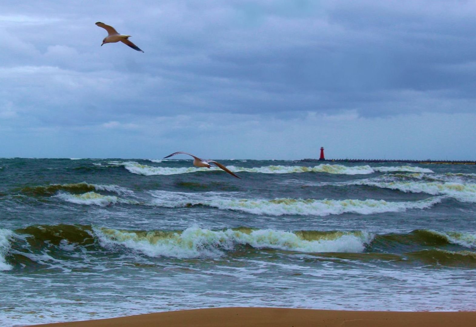"Niklas" wywołał potężny sztorm na Bałtyku. Ludzie zachwyceni widokami