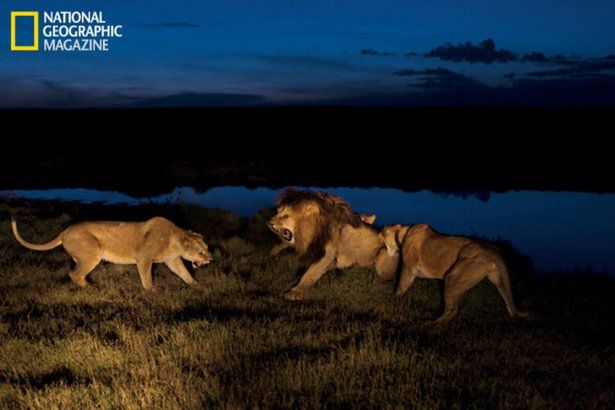 © National Geographic