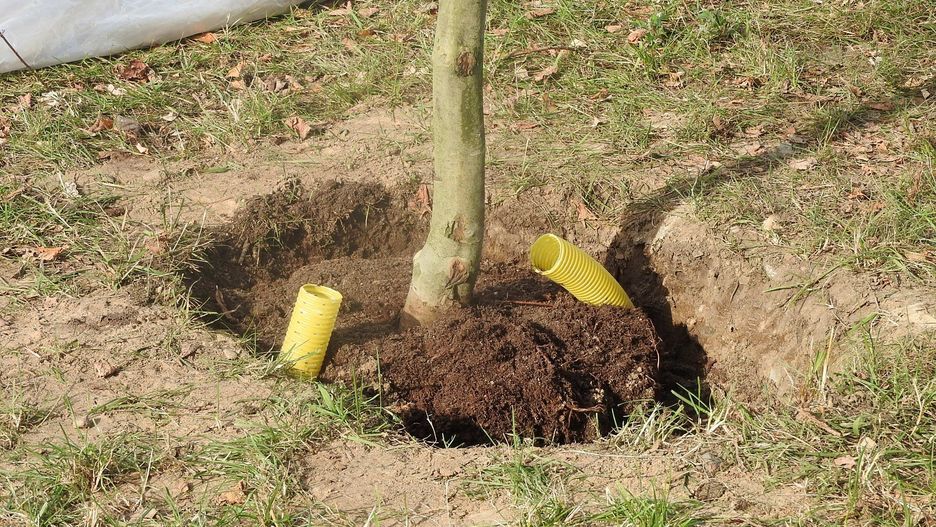 Ze wsparcia mogą skorzystać m.in. sadownicy i ogrodnicy, poszkodowani przez zeszłoroczną powódź.