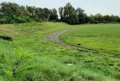 Sosnowiec. Stadion w Klimontowie odżyje. Zyska zadaszenie oraz sztuczną nawierzchnię