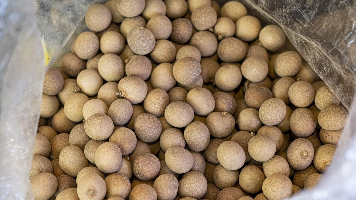 Dlaczego warto jeść owoce mnicha?