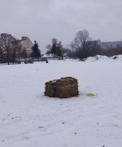 Warszawa. Betonowy kosz na trasie zjazdu. Urzędnicy owinęli go słomą