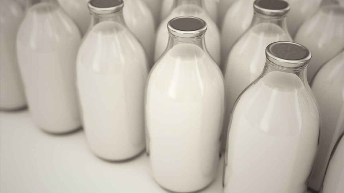 Dla wielu ludzi mleko jest stałym elementem codziennej diety