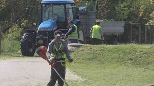 W powiecie świeckim samochód potrącił pracownika koszącego trawę