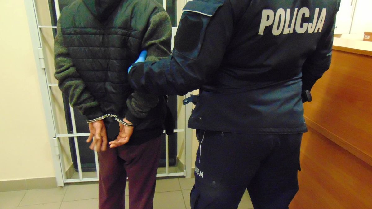 19-latek miał próbować zabić swoją babcię 