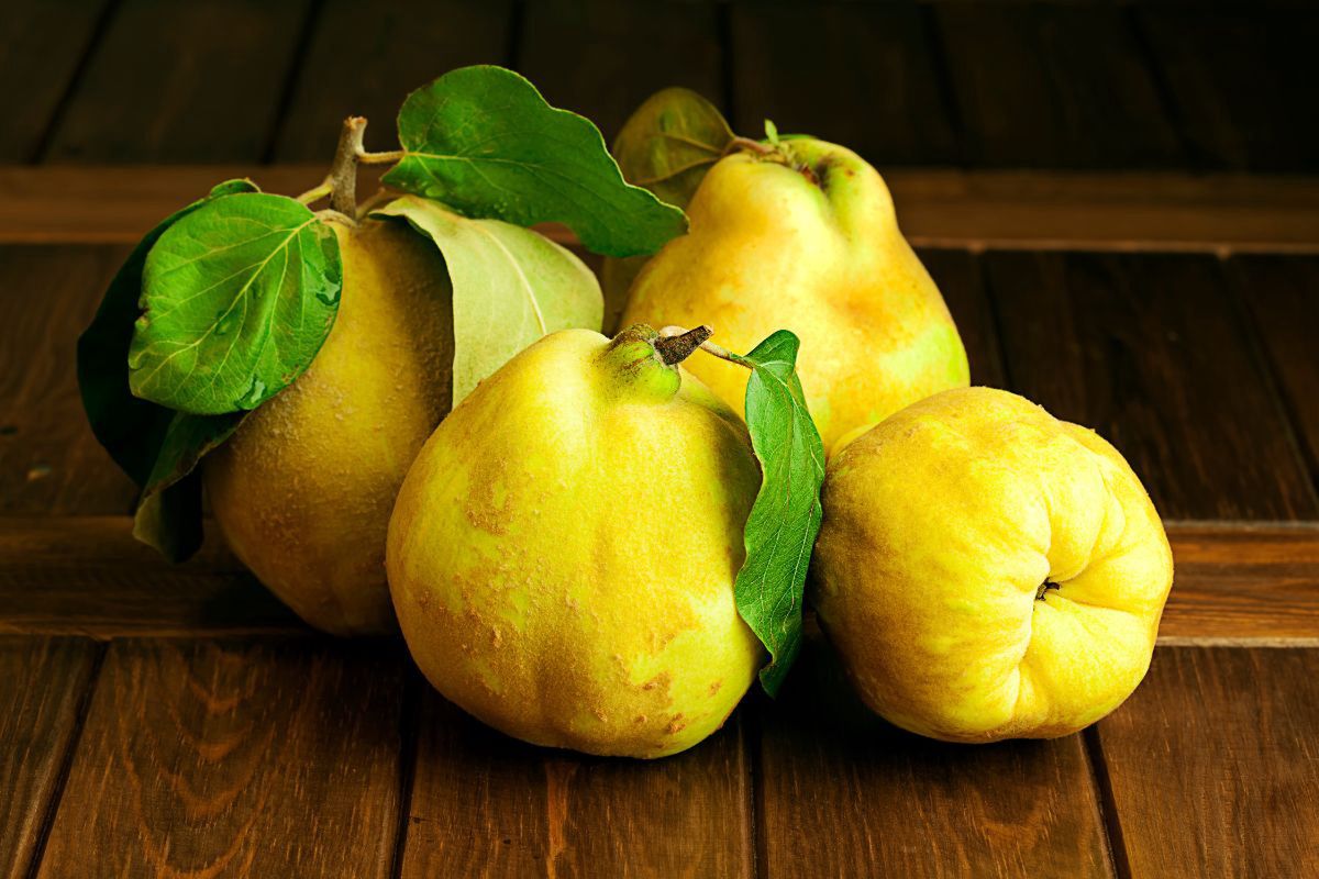 Quince - Delicacies