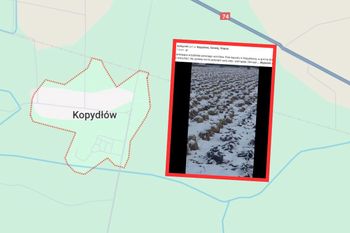 Dramat rolnika. Niesie się wideo. Całe pole zamarzło. "Straty"