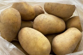 Wytrzymają kilka miesięcy. Wystarczy, że to zrobisz