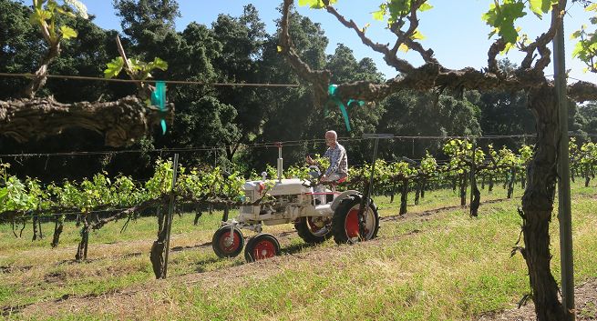 Majówka z premierami w HGTV: kolejny sezon „Musisz to mieć” i nowy program „Kupujemy winnicę”