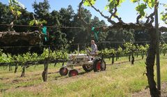 Majówka z premierami w HGTV: kolejny sezon „Musisz to mieć” i nowy program „Kupujemy winnicę”