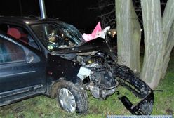 Wrocław. Po pijaku wjechał w drzewo. Miał prawie 2 promile alkoholu