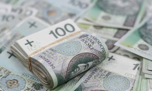 Służby zatrzymały kilkunastu podejrzanych o wyłudzenia VAT. Setki milionów złotych