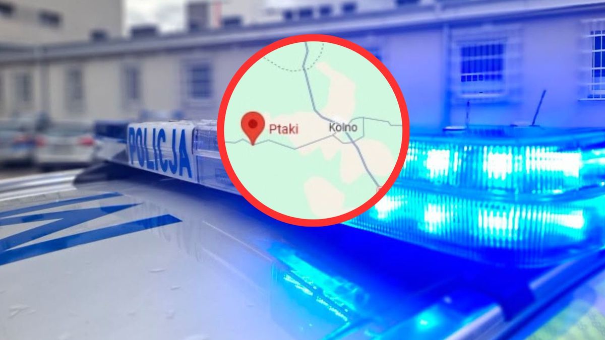 Zdjęcie poglądowe