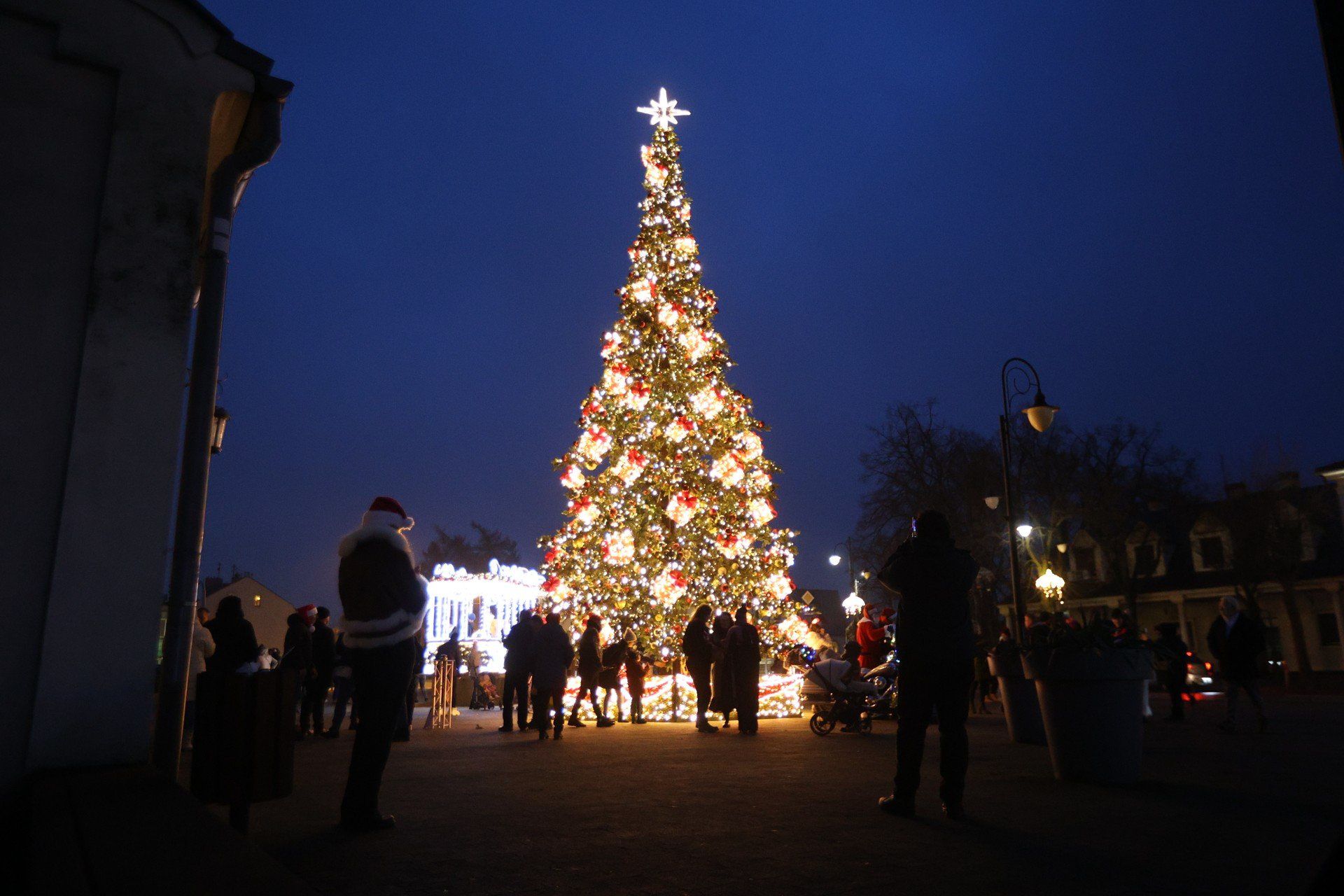 Piękna choinka stojąca tuż obok wejścia na jarmark
