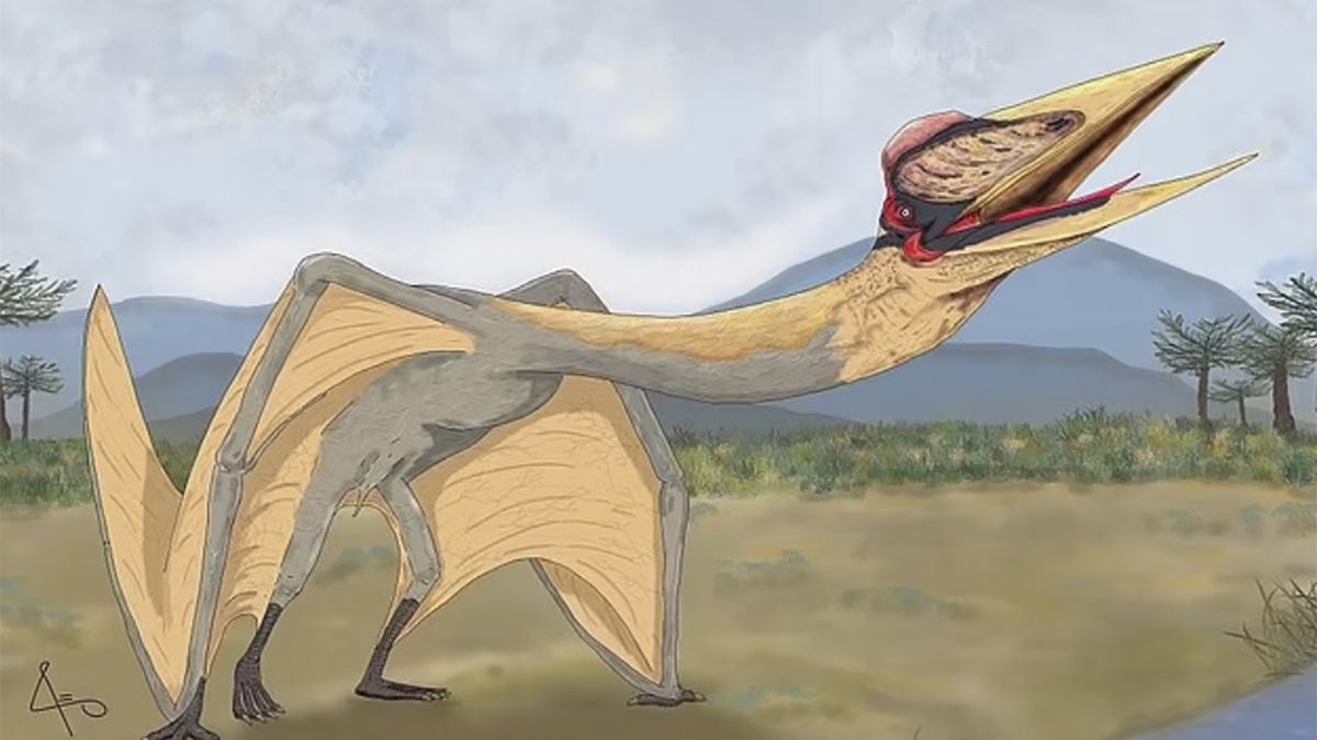 Naukowcy odnaleźli szczątki pradawnego gada