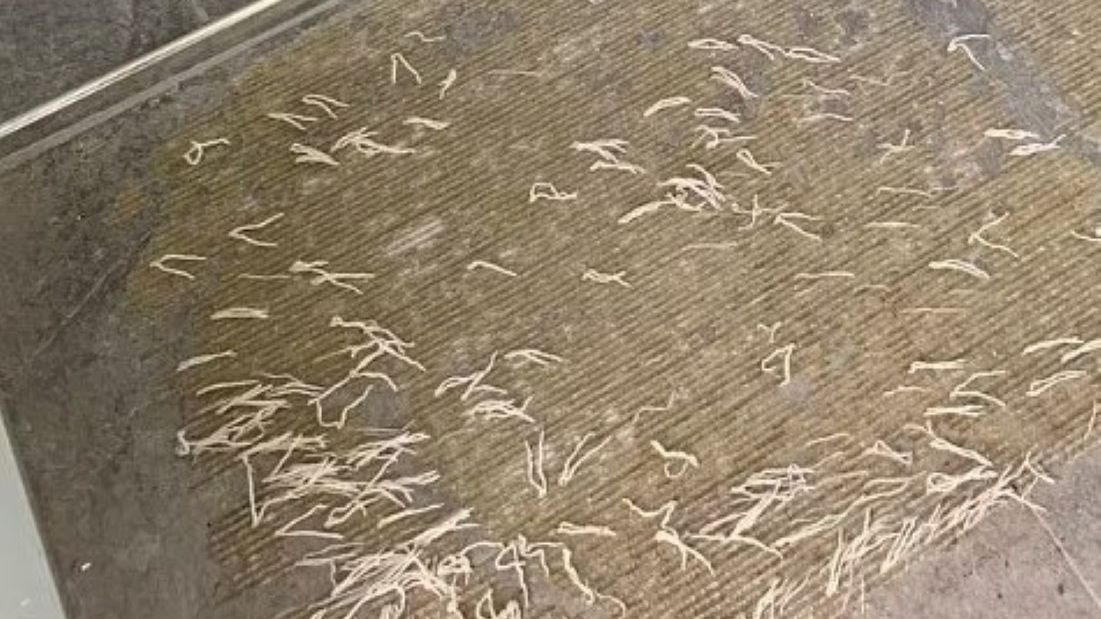 Kobieta nie wierzyła własnym oczom 