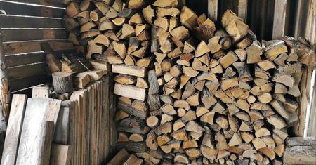 Tyle kosztuje drewno na opał. Ceny w marketach i nadleśnictwach