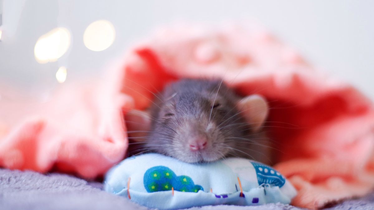 Sylwetki naszych czytelników: Olga Ciechanowska 1