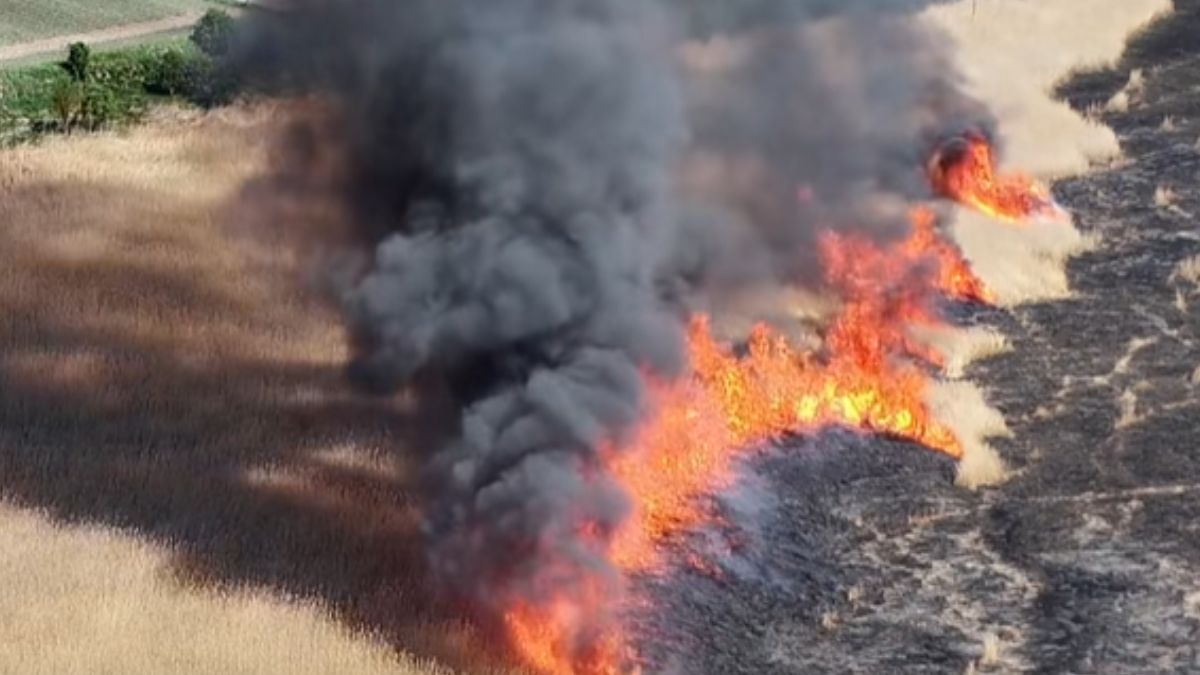 Pożar pola w Biórkówie Wielkim.