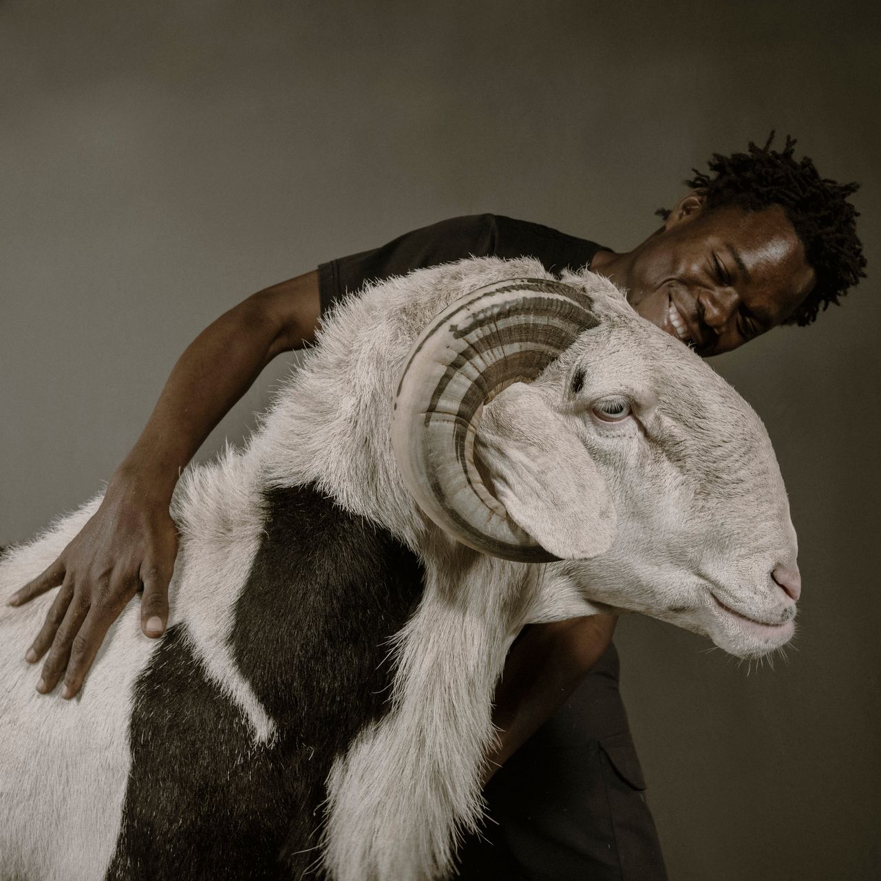 Habibou Diop pokazuje Bideo Bou Bess, 19-miesięcznego barana Ladoum ze stada Malle, który ma 112 cm wysokości i 172 cm długości.