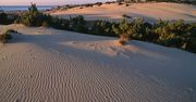 Wydmy w Maspalomas wracają do życia. W końcu nie ma turystów!