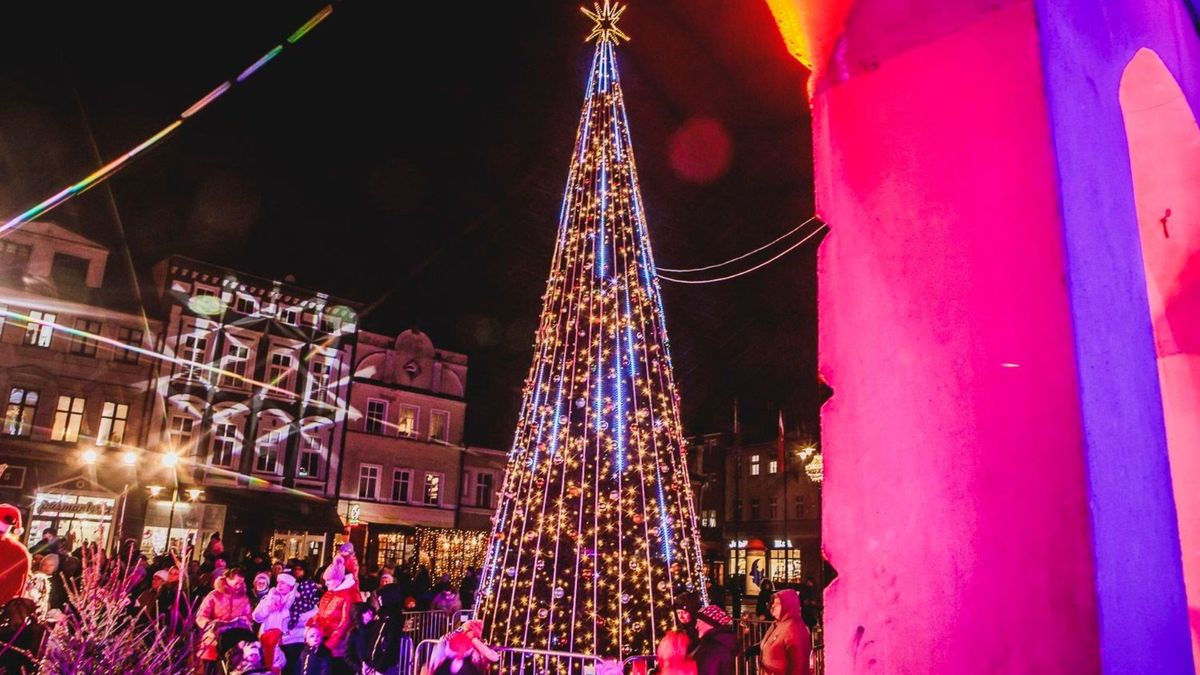 krytykują sztuczną choinkę przed ratuszem – władze miasta zapowi