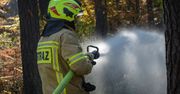 Dramat pod Częstochową. Pożar domu w Borownie i śmierć 64-latka