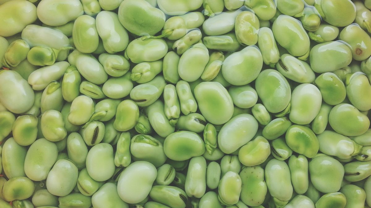 Fave Verdi
Photo taken in Roma, Italy
Marco Poggioli / EyeEm