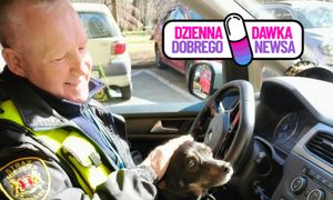 Wskoczył do radiowozu i nie chciał wysiąść. Teraz szuka domu