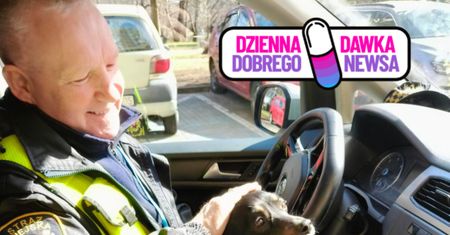 Wskoczył do radiowozu i nie chciał wysiąść. Teraz szuka domu