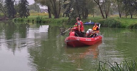 Nie tylko Odra. Śnięte ryby w krakowskim stawie