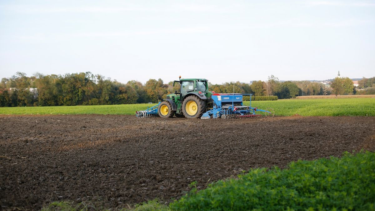 Podczas prac polowych mogło dojść do dramatu