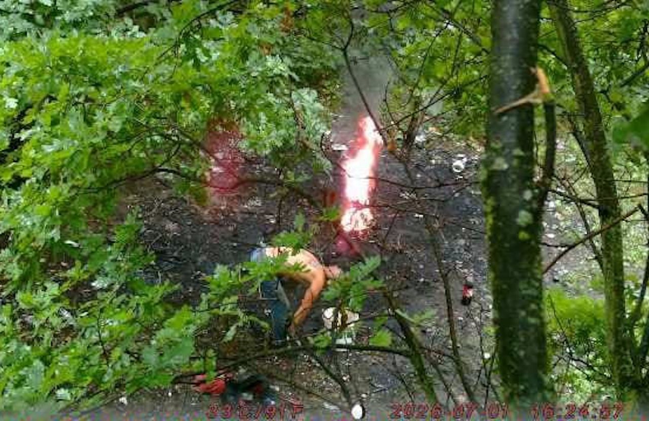 Fotopułapka nagrała mężczyznę w lesie. To nie mieści się w głowie