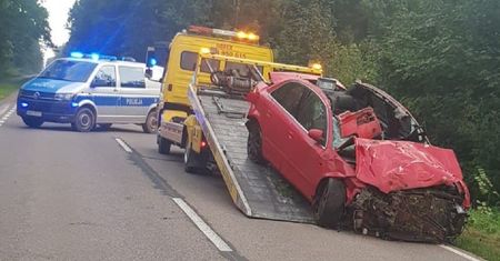 Makabra pod Ciechanowem. Nagle zauważył łosia