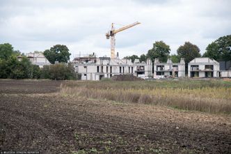 Działki biją rekordy. Nawet dwucyfrowe wzrosty w Polsce