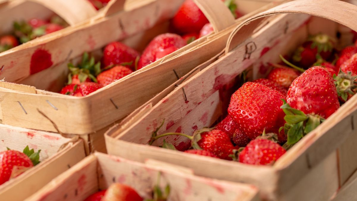 Na tańsze truskawki musimy poczekać co najmniej do maja