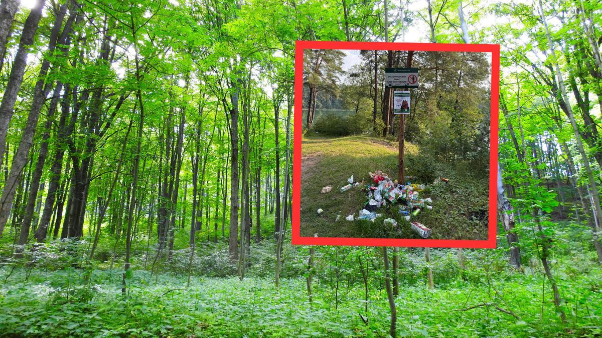 Mazury toną w śmieciach. Pani Anna nie wytrzymała i posprzątała 