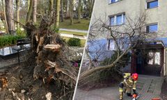 Działo się, a to nie koniec. Tak niszczył w Polsce huragan Otto