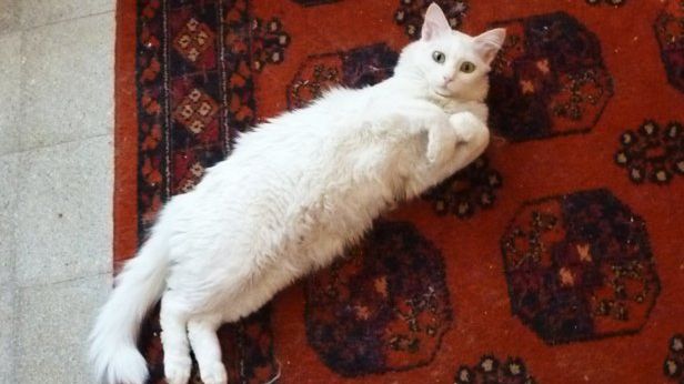 Polak potrafi – wykonujemy 2 miliardy zdjęć miesięcznie 1