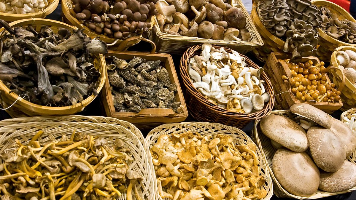 Ile kosztują grzyby? Na czele kurka