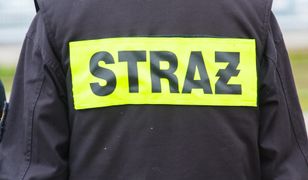 Warszawa. Wypadek na Targówku. Skuter zderzył się z samochodem osobowym