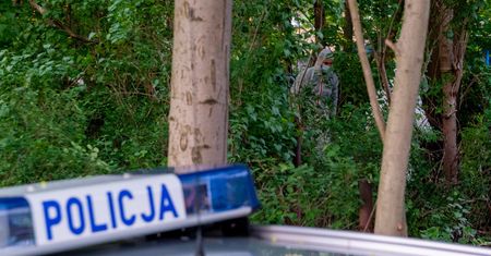 Wołomin. Nie żyją dwie 13-latki. W lesie znaleziono ciała
