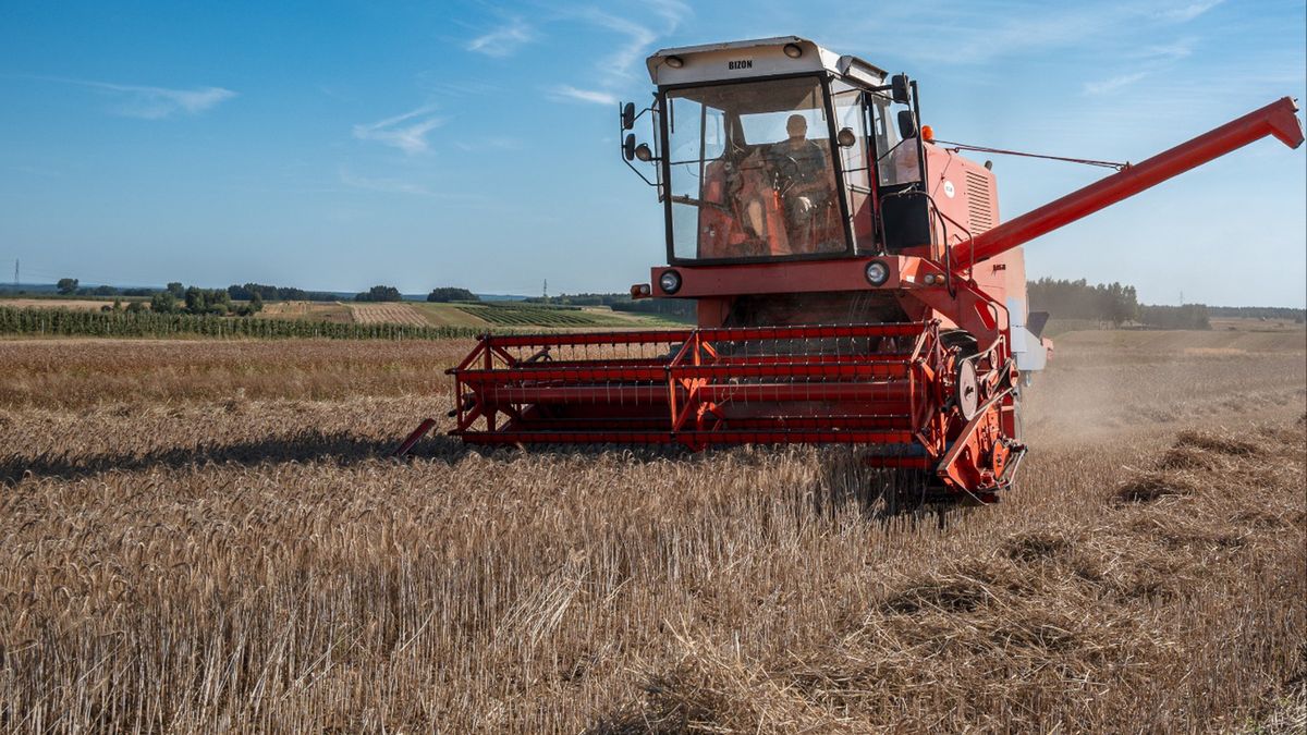 Rolnik pozwał KOWR. Wygrał w sądzie
