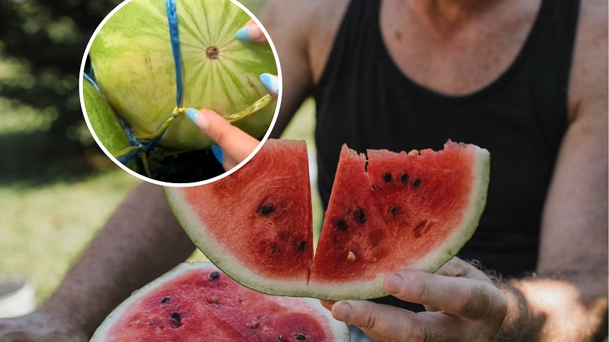 Najlepszy owoc na upały. Trik podbija TikToka