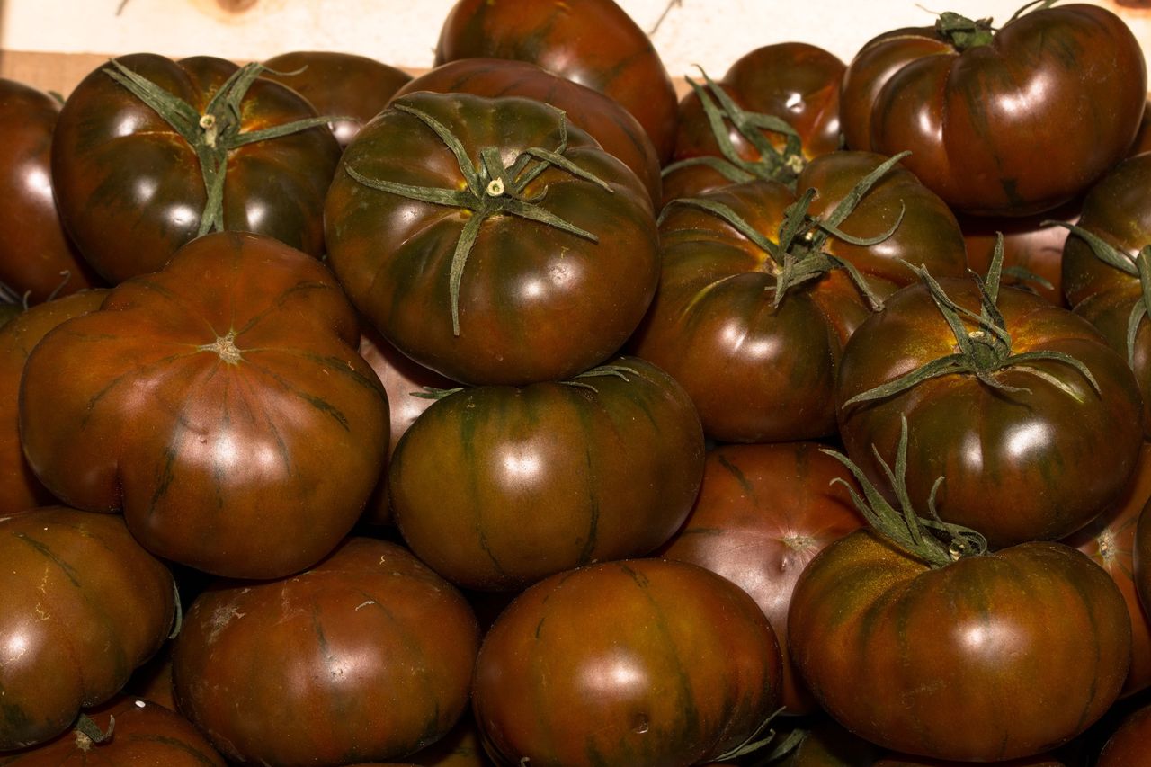 Jedna z najzdrowszych odmian pomidorów. Polaków odstrasza ich wygląd