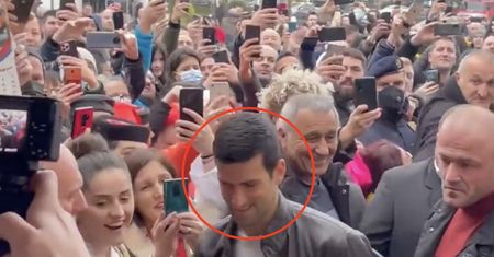 Djoković uhonorowany w Czarnogórze. Tłum wprost oszalał