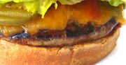 Probówkoburgery jeszcze przed końcem świata
