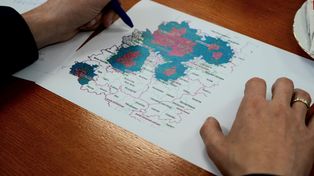 Płock: Powiat reaguje na ptasią grypę. Tysiące ptaków objętych działaniami